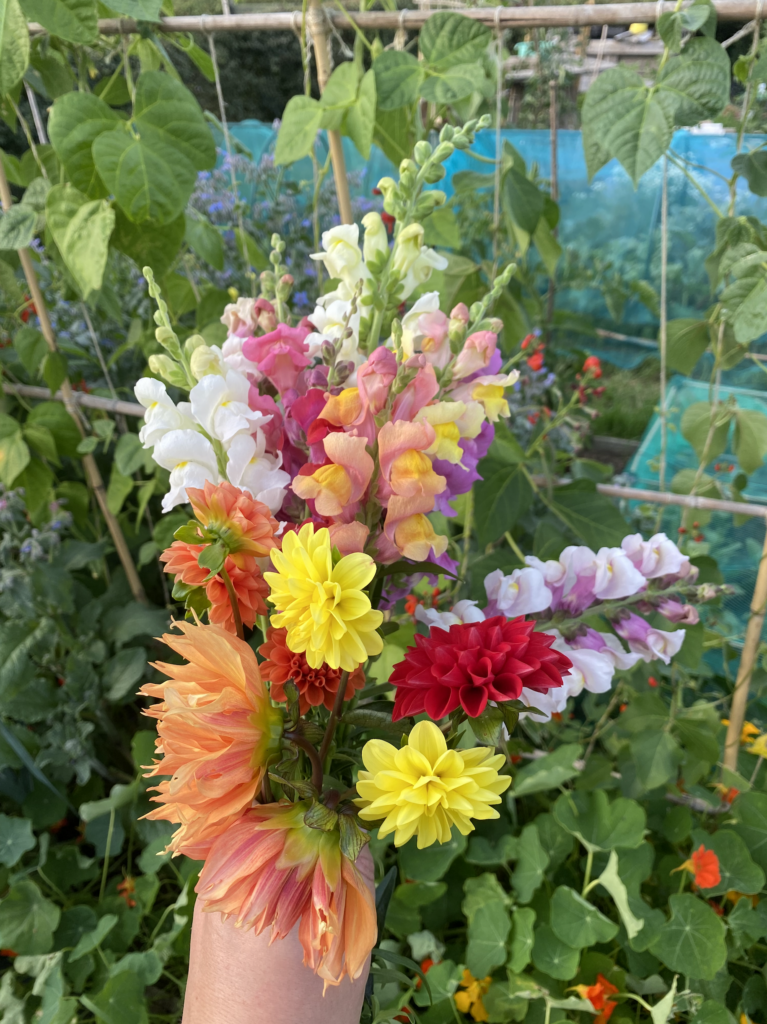 A hand holding a bunch of dahlias and snapdragons