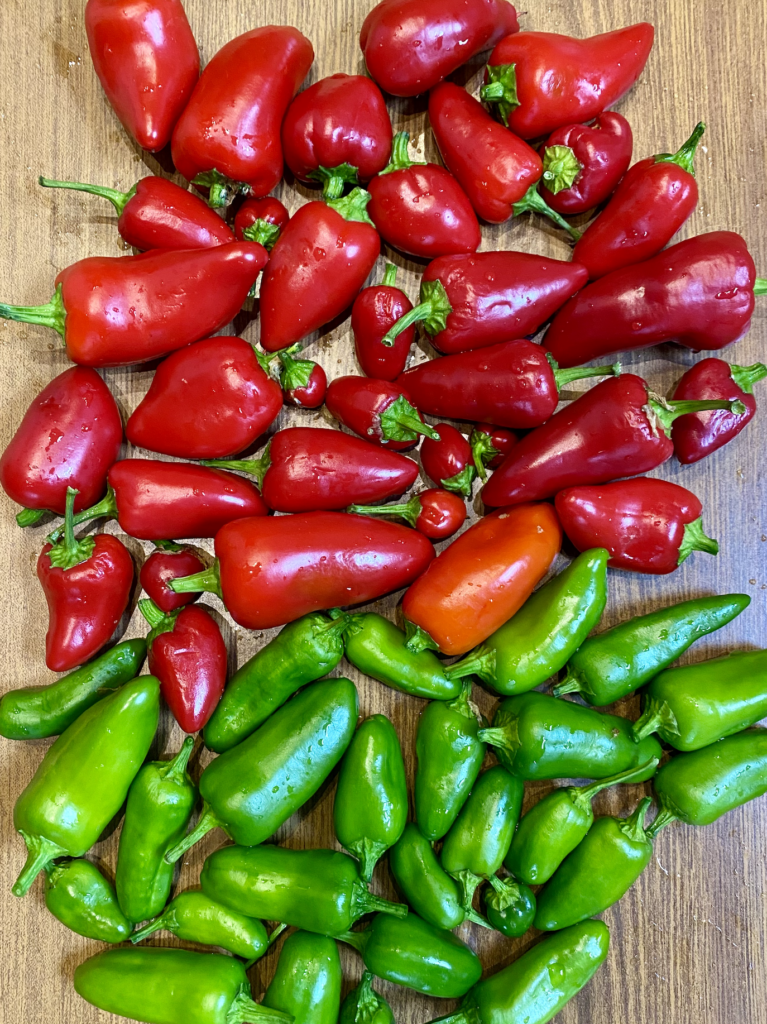 A table top with lots of green and red chillies.