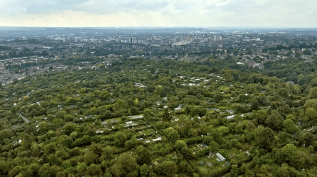 A sky view of the 75 acre St Anne's Allotments in Nottingham. A huge area of green land can be seen made up of gardens and hedgerows. Beyond residential buildings can be seen.