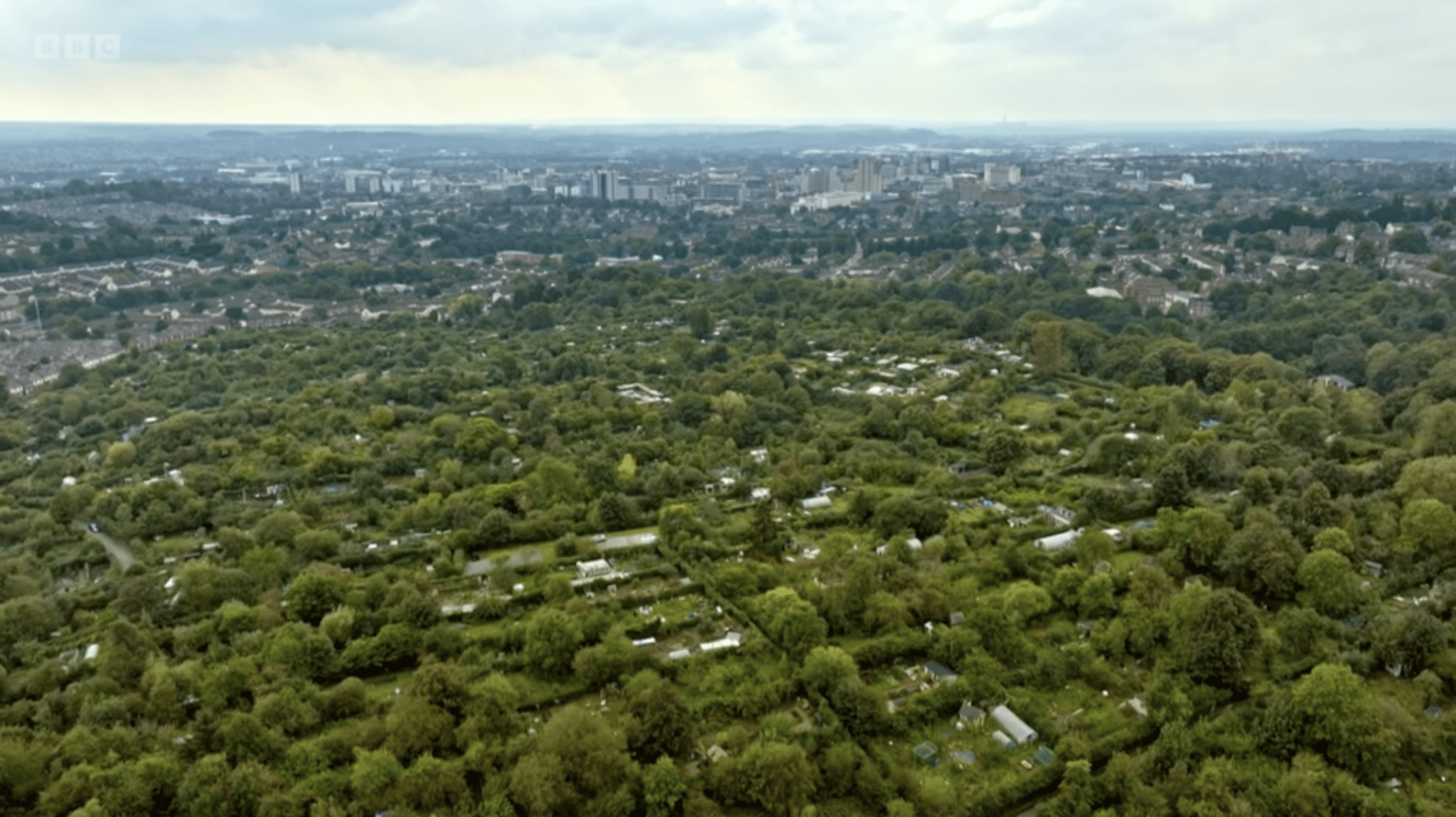 A sky view of the 75 acre St Anne's Allotments in Nottingham. A huge area of green land can be seen made up of gardens and hedgerows. Beyond residential buildings can be seen.