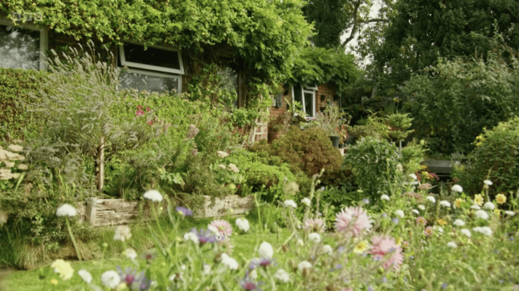 View with blue cornflowers and white scabious flowers in the foreground looking towards a brick shed surrounded by greenery.