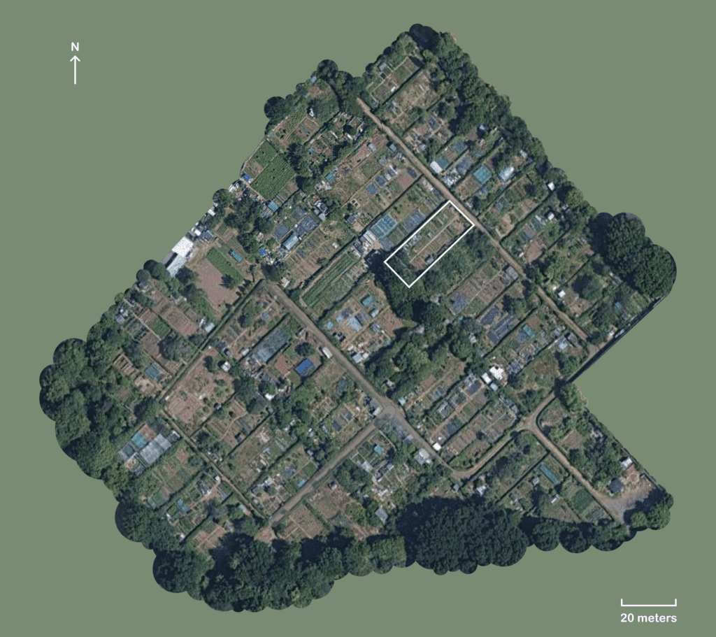 Screenshot from Google Maps of the allotment site my plot is on, with the bordering neighbourhoods masked so only the allotments are shown. Multiple lanes can be seen crossing the site. Lots of trees border the site as well as growing on plots or in boundaries.