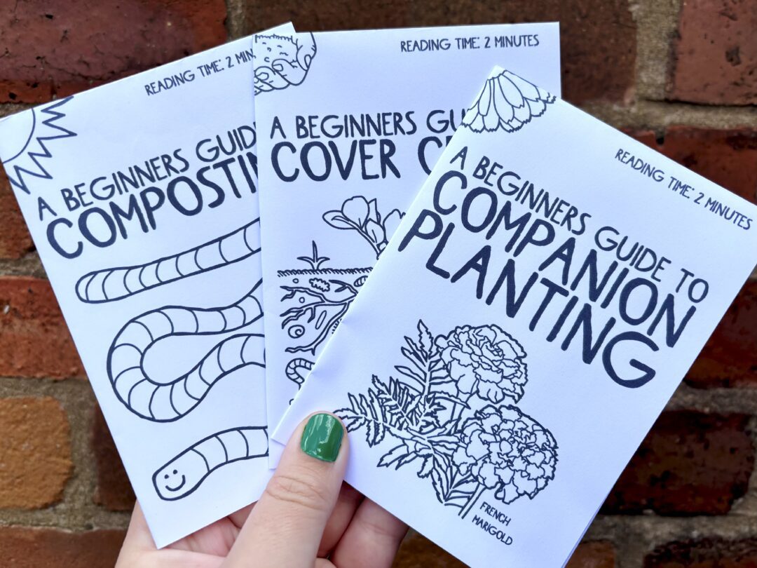 Three A6 sized zines held in a hand in front of a brick wall. Each zine is printed with black ink on white paper.