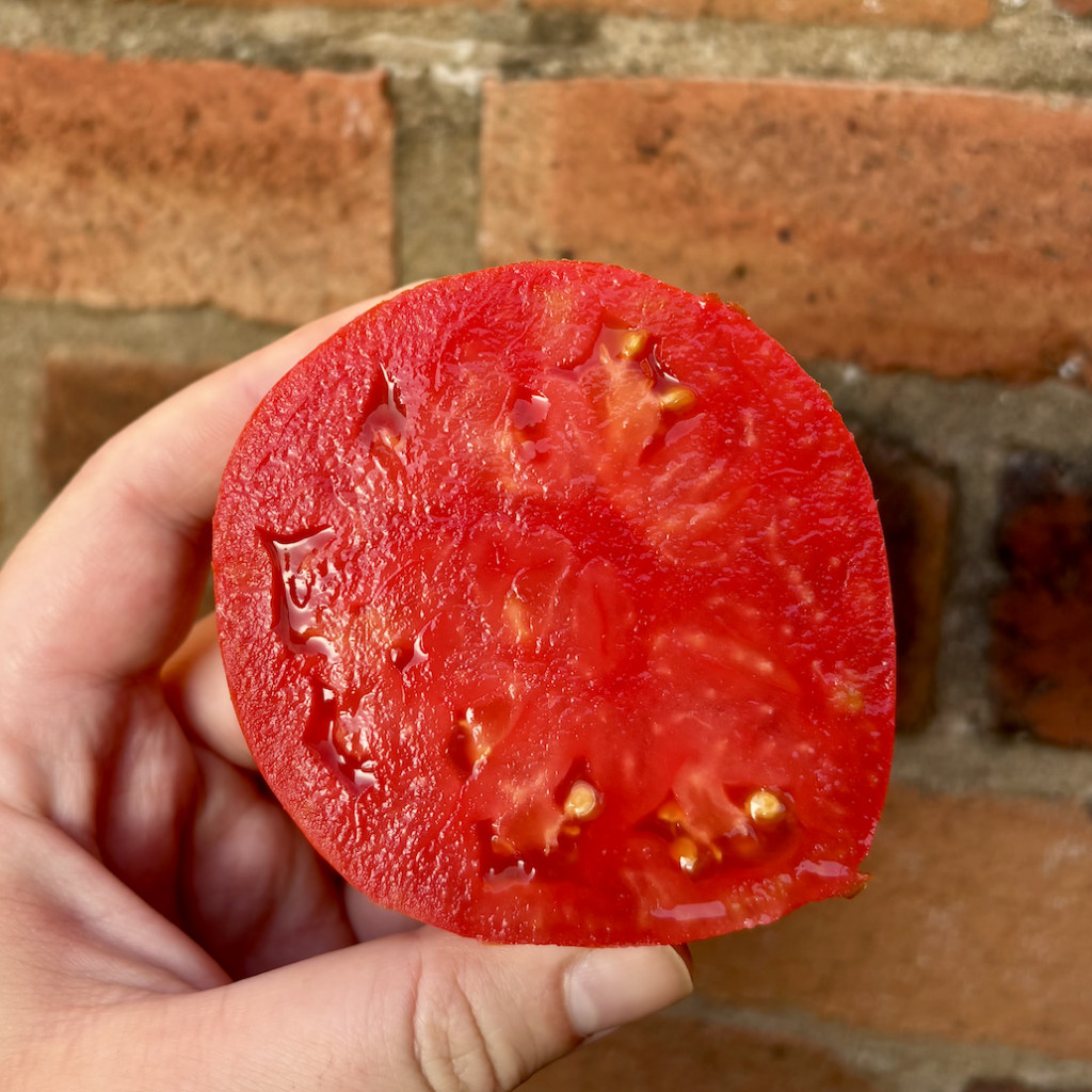 Half a large tomato with the cut side shown towards the camera. The middle is mostly flesh with few seeds.