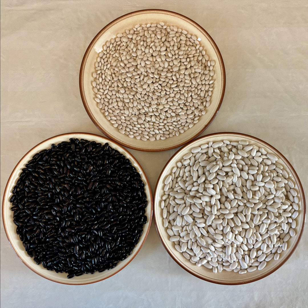 Three plates of beans, one of small pale beans, one of larger white beans, and one of black beans